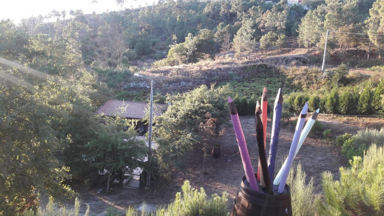 Villa Pinhawood à Resende Extérieur photo