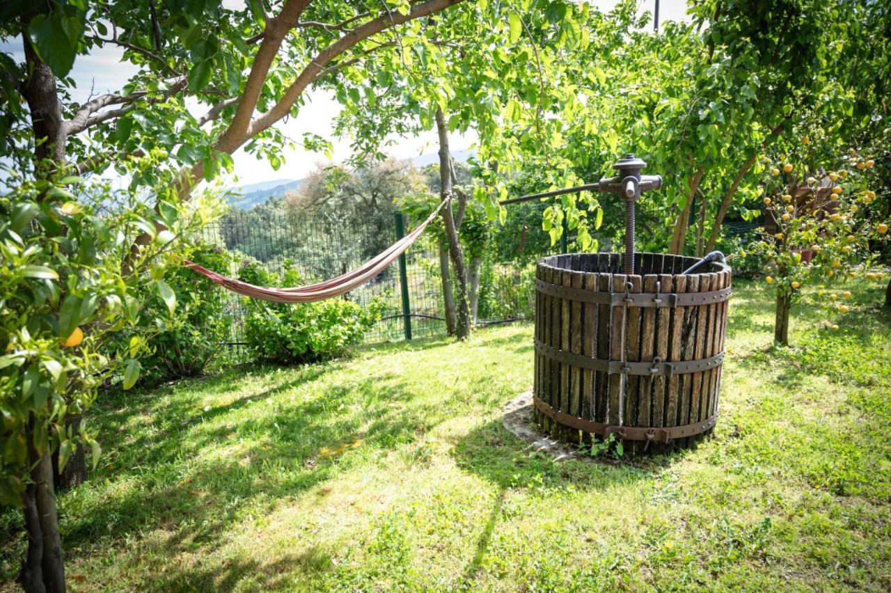 Villa Pinhawood à Resende Extérieur photo